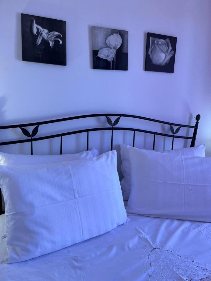 Apartman Gorana With Swimming Pool ييلسا المظهر الخارجي الصورة